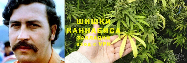 ПСИЛОЦИБИНОВЫЕ ГРИБЫ Аркадак