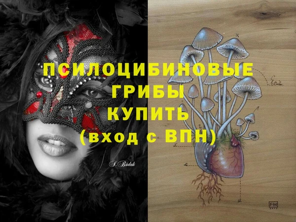 не бодяженный Алексин