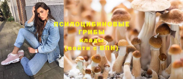 ПСИЛОЦИБИНОВЫЕ ГРИБЫ Аркадак